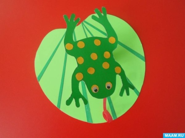 Аппликация Лягушонок в средней группе