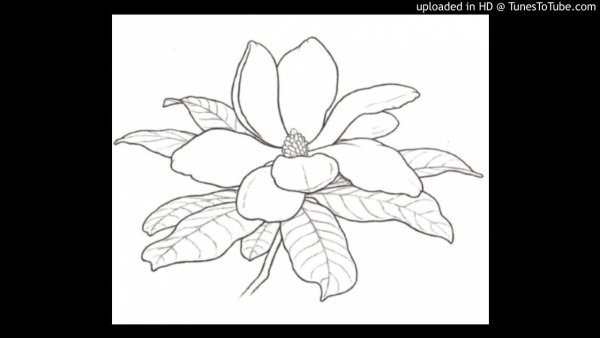 Магнолия трафарет
