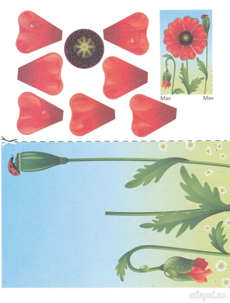 Объемные маки из бумаги