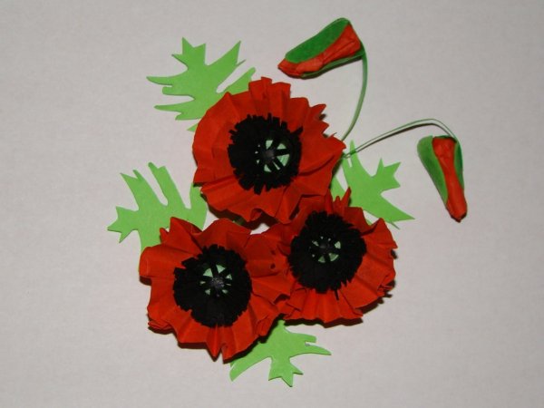 Аппликация маки