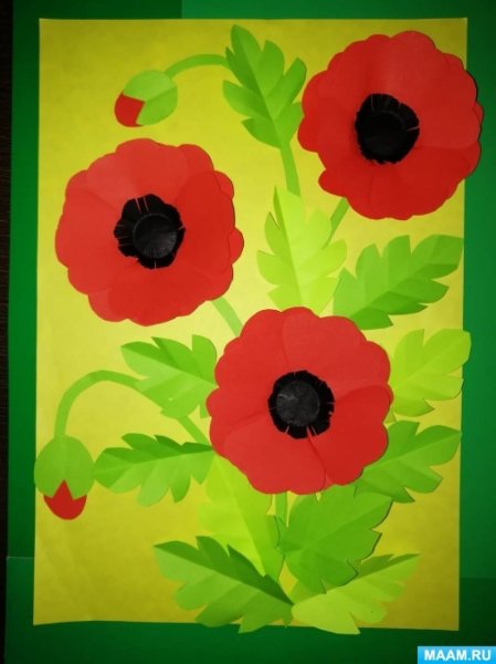 Аппликация маки