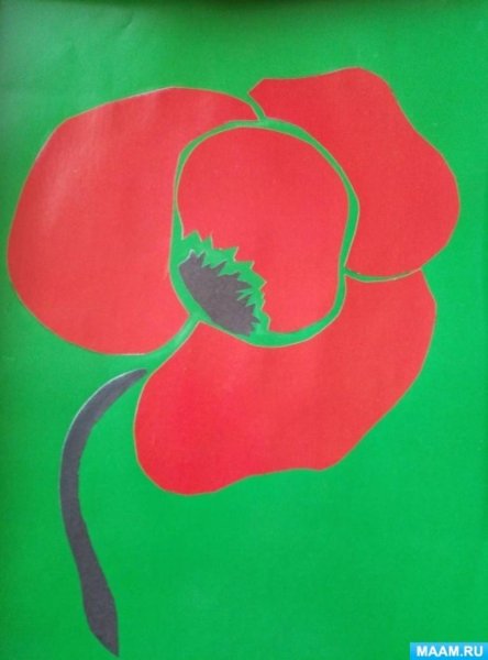 Объемная аппликация маки