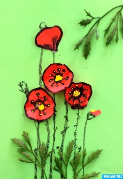 Объемная аппликация маки