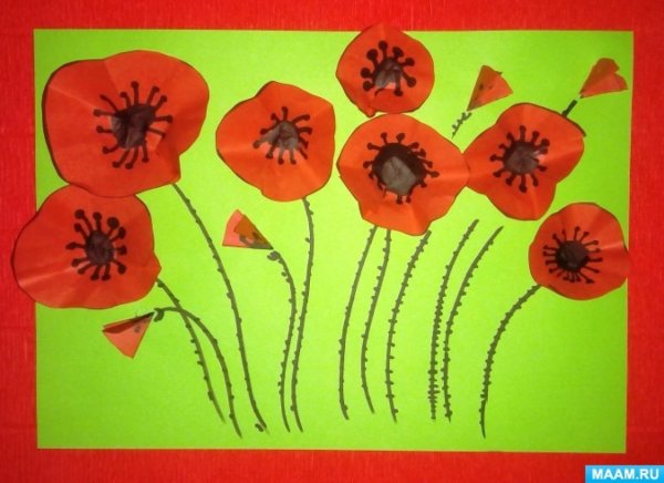 Аппликация маки в старшей группе