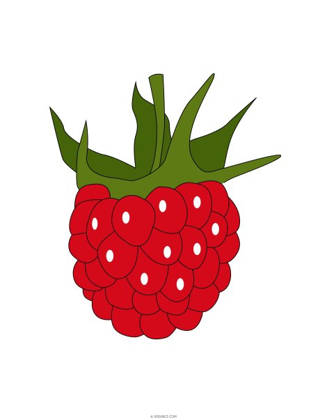 Малина для дошкольников