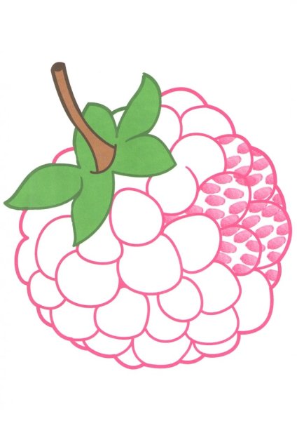 Малина рисунок