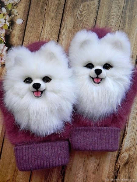 Звероварежки шпиц