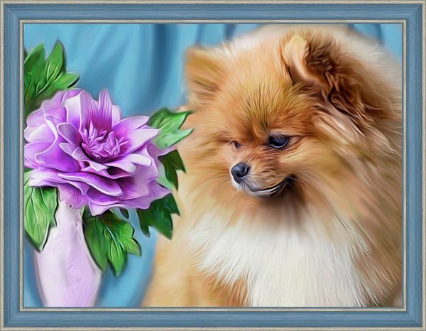 Алмазная мозаика шпиц померанский