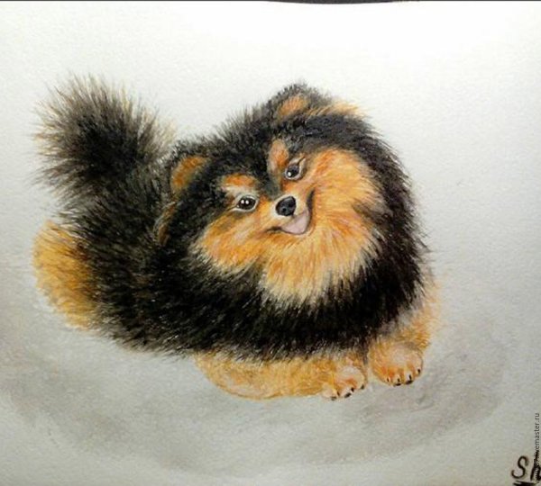 Вышивка шпиц