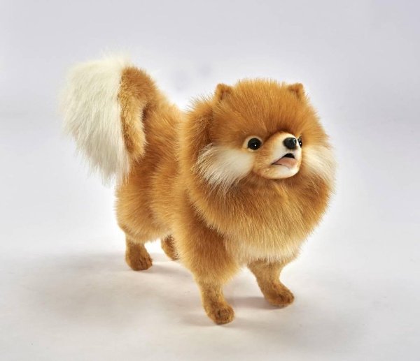 Мягкая игрушка Hansa померанский шпиц