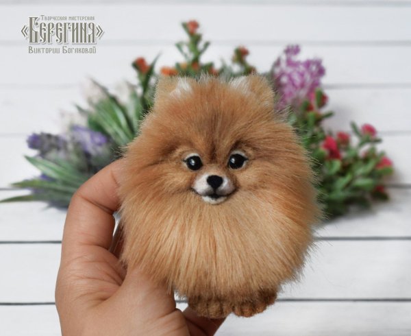 Шпиц из шерсти