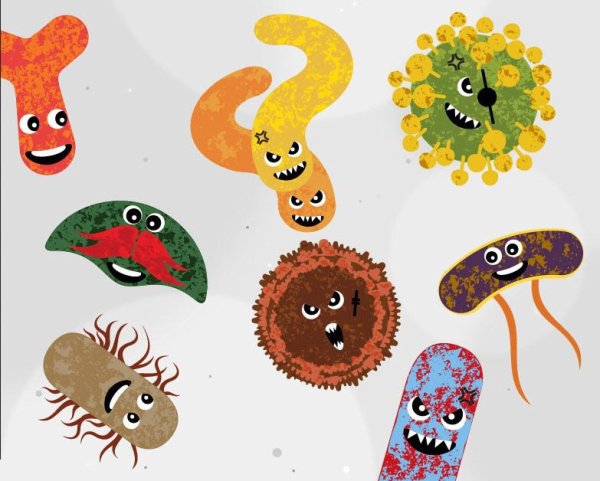 Аппликация микробы