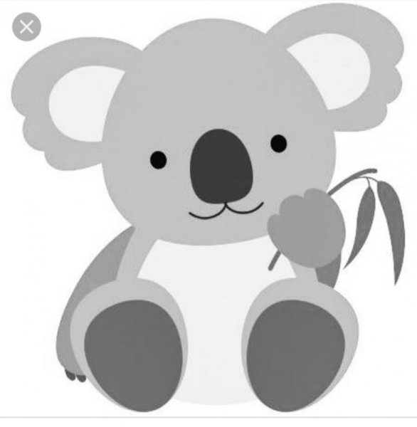 Коала рисунок