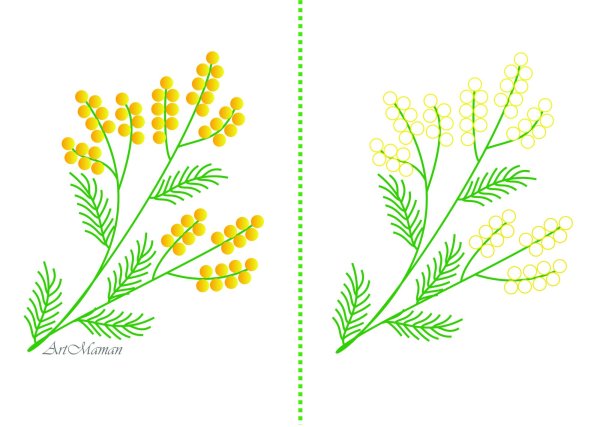 Ветка мимозы раскраска для детей