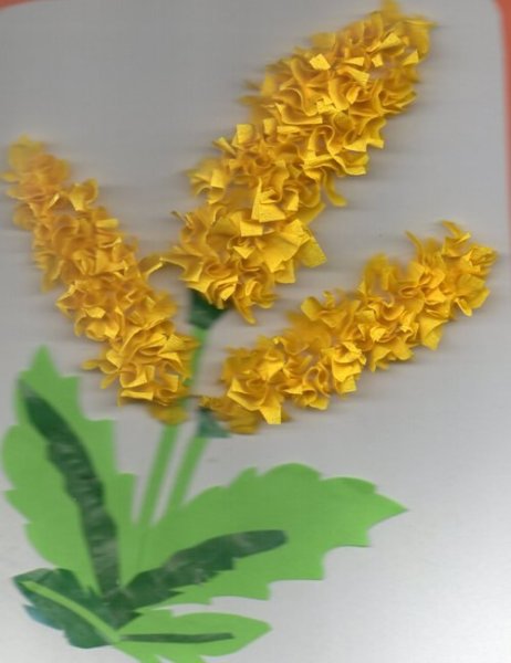 Тычкование Мимоза