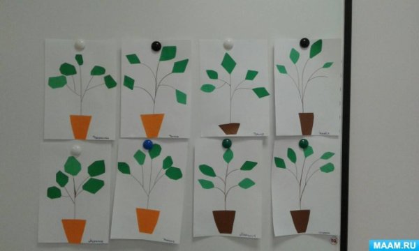 Аппликация комнатные цветы средняя группа