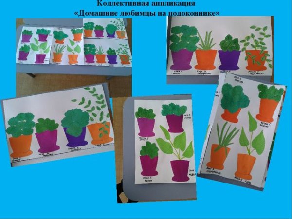 Аппликация комнатные растения