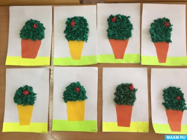 Аппликация комнатные растения