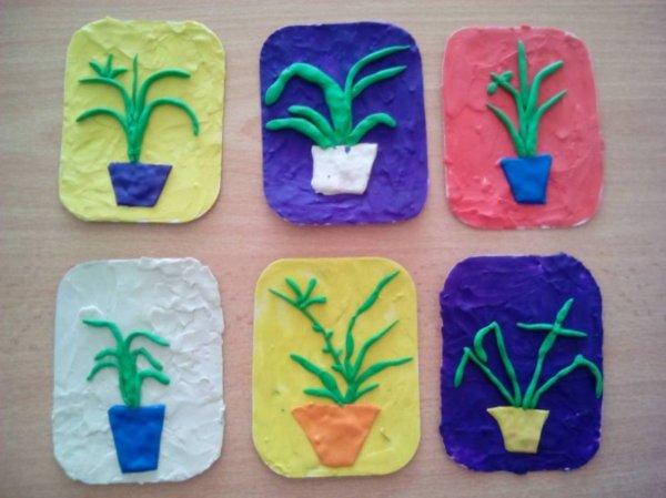 Лепка комнатные растения подготовительная группа