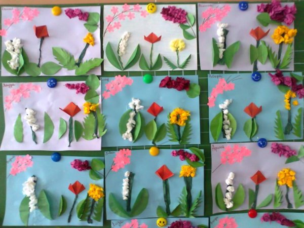 Цветы средняя группа