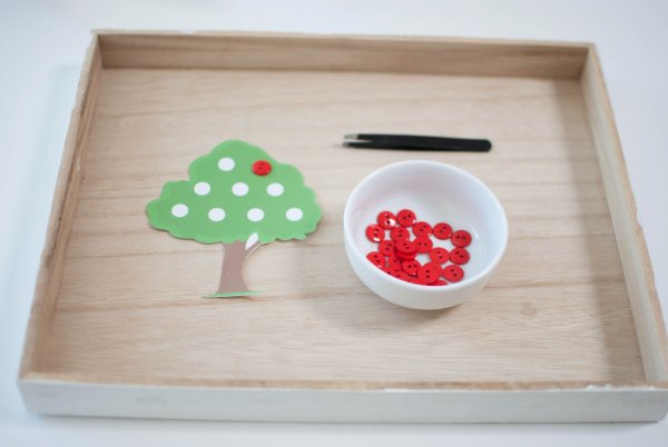 Рамки Монтессори УПЖ