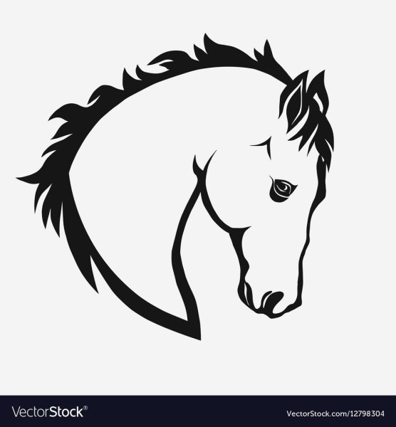 Профиль лошадиной головы