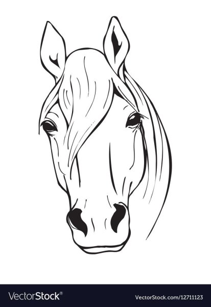 Контур морды лошади