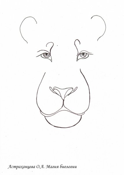 Мордочка Льва для поделки