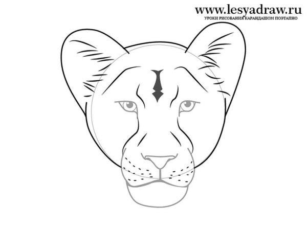 Морда Льва рисунок для аппликации