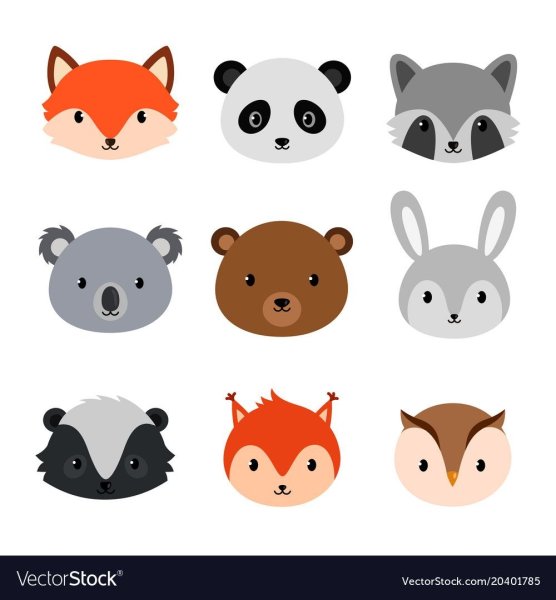 Мордашки животных