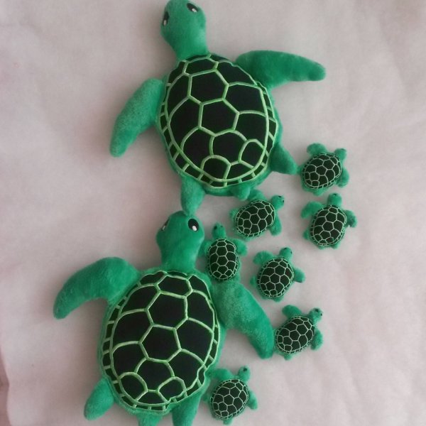 Аппликация черепашка