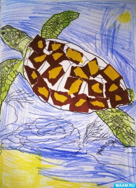 Аппликация черепаха в подготовительной группе