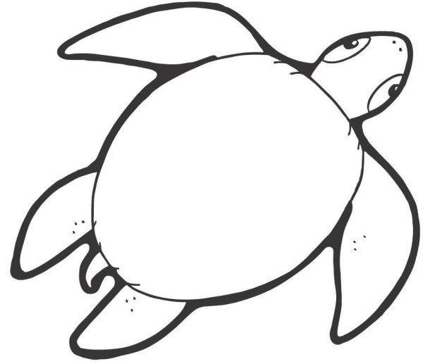 Черепашка контур