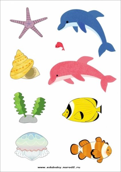 Морские обитатели для детей
