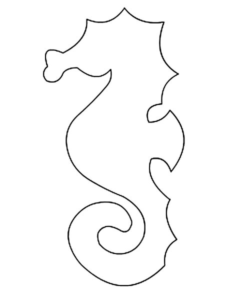 Контуры морскогококька