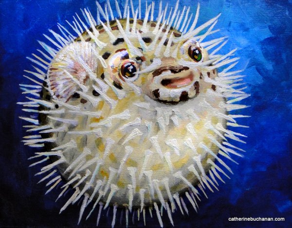 Морской ёж иглобрюх