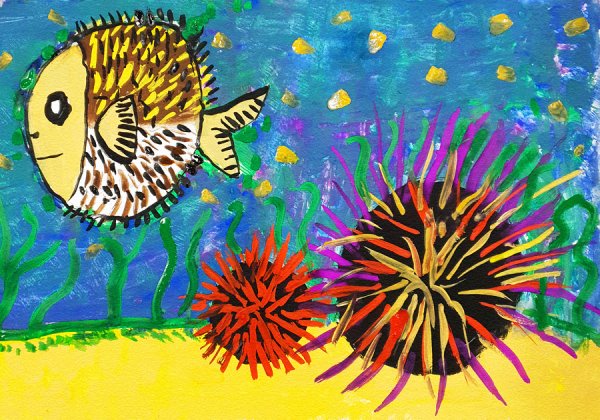 Рисунок морского ежа