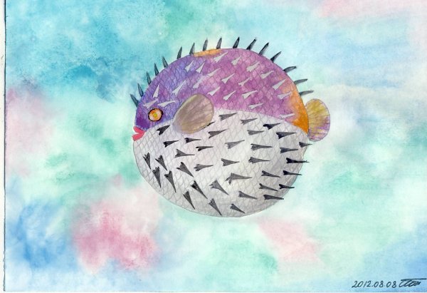 Морской еж акварель