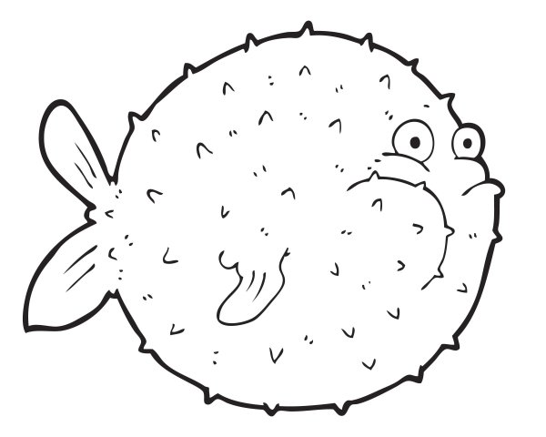 Раскраски морские обитатели морской еж