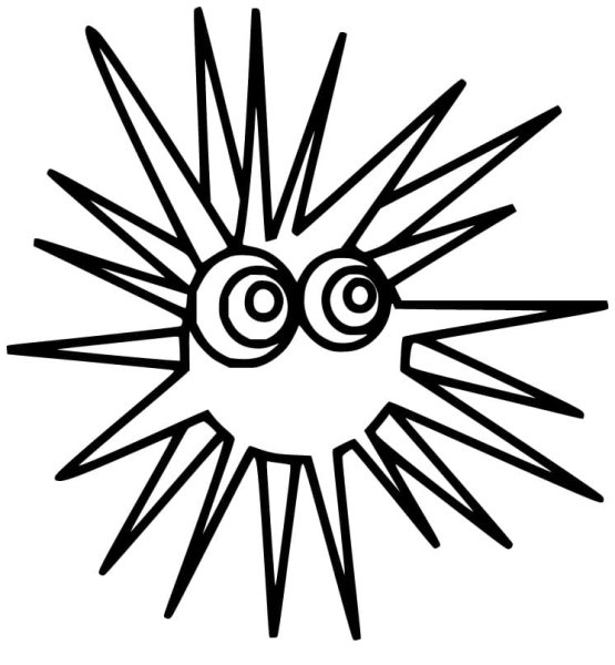 Рисуем морского ежа