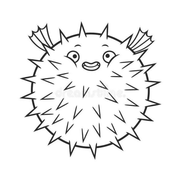 Морские Ежи раскраска