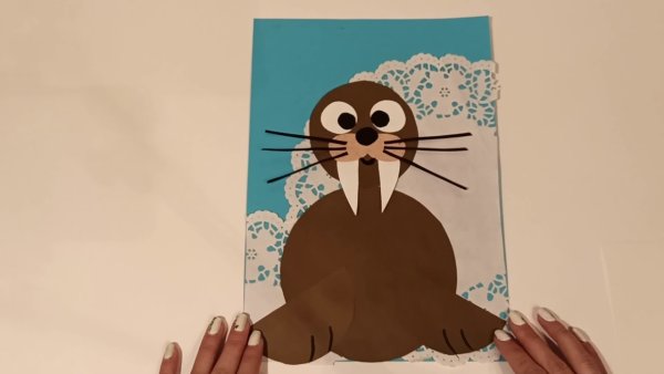 Аппликация морж средняя группа