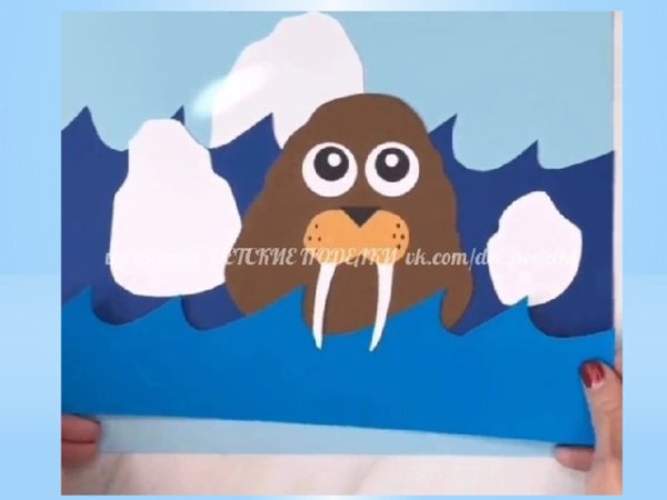 Аппликация морж средняя группа