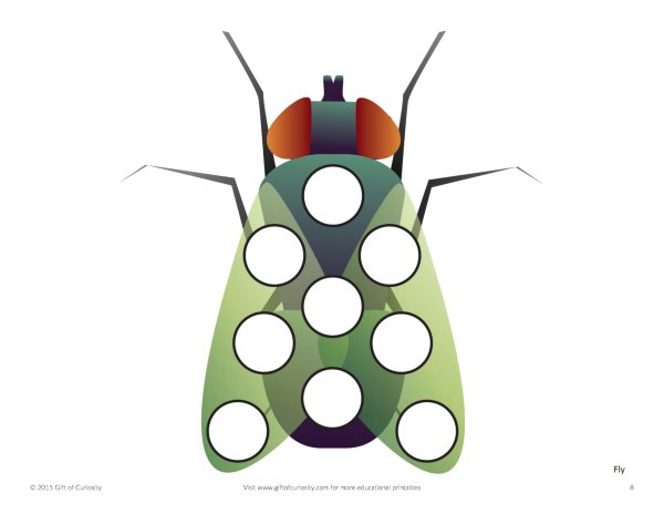 Рисование пальчиками насекомые