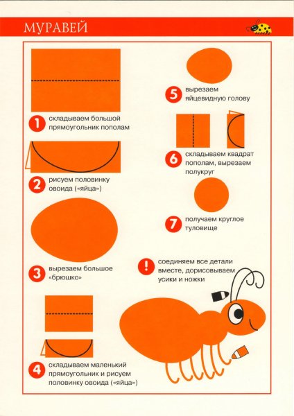 Схемы аппликации для дошкольников
