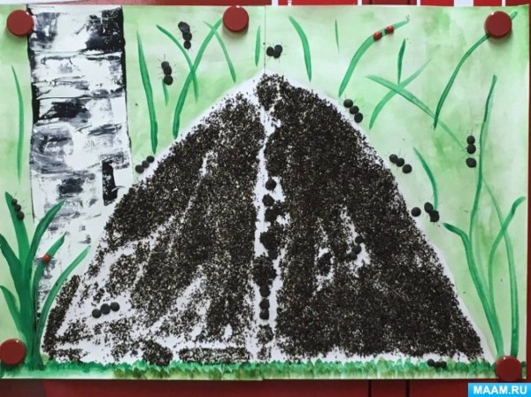 Макет муравейника в детском саду