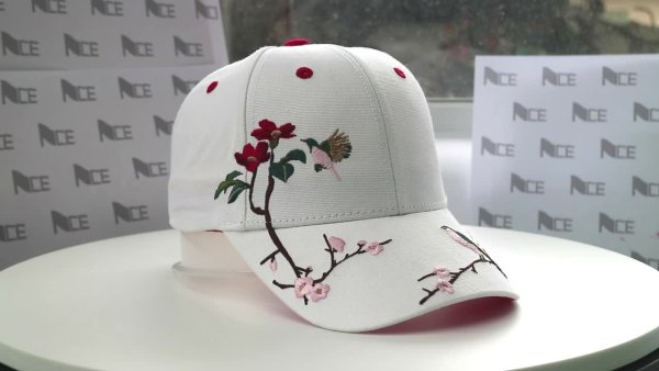 Кепка с вышивкой самолет