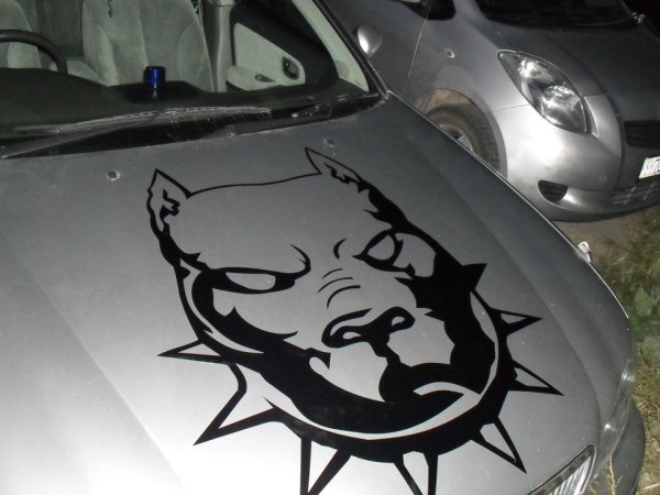 Трафареты для аэрографии