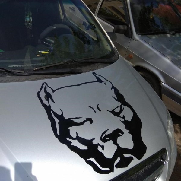 Наклейка на машину намкапот z