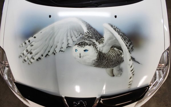 Grand Starex винилография